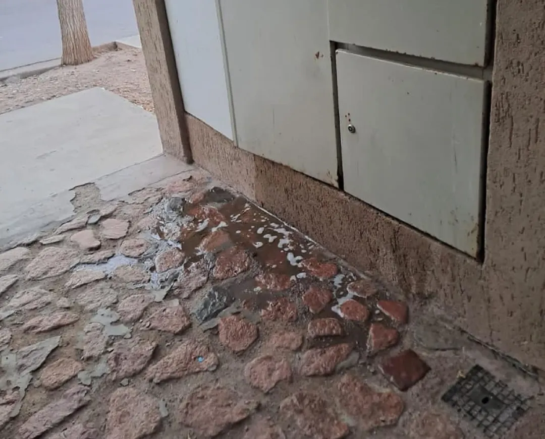 Orín en la entrada de los edificios de departamentos de Maipú.
