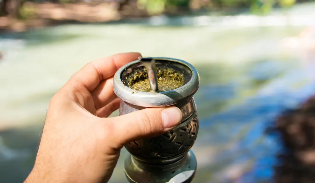 Este avance digital con la yerba mate puede ser un gran comienzo en la economía regional.