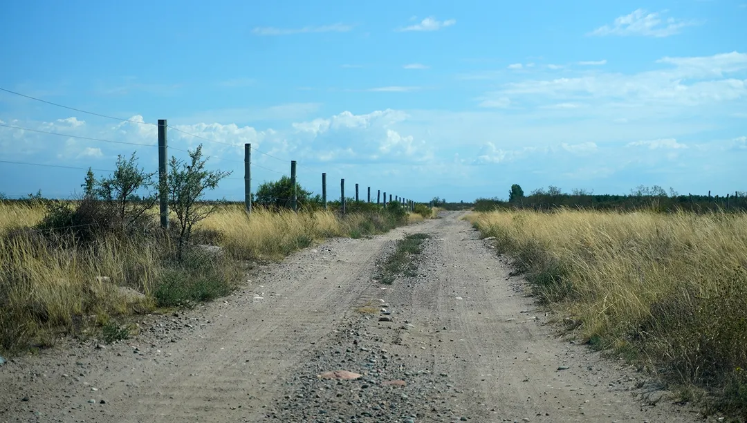 Un camino de tierra.
