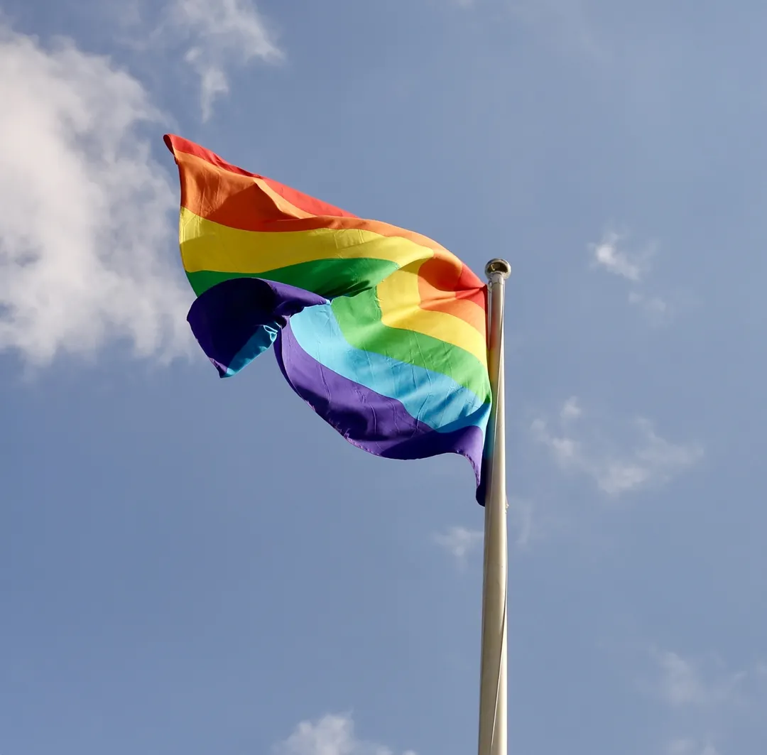 El 28 de junio se celebra el Día Internacional del Orgullo LGBTIQ+ que tiene su origen en la revuelta de Stonewall en Nueva York, en 1969.