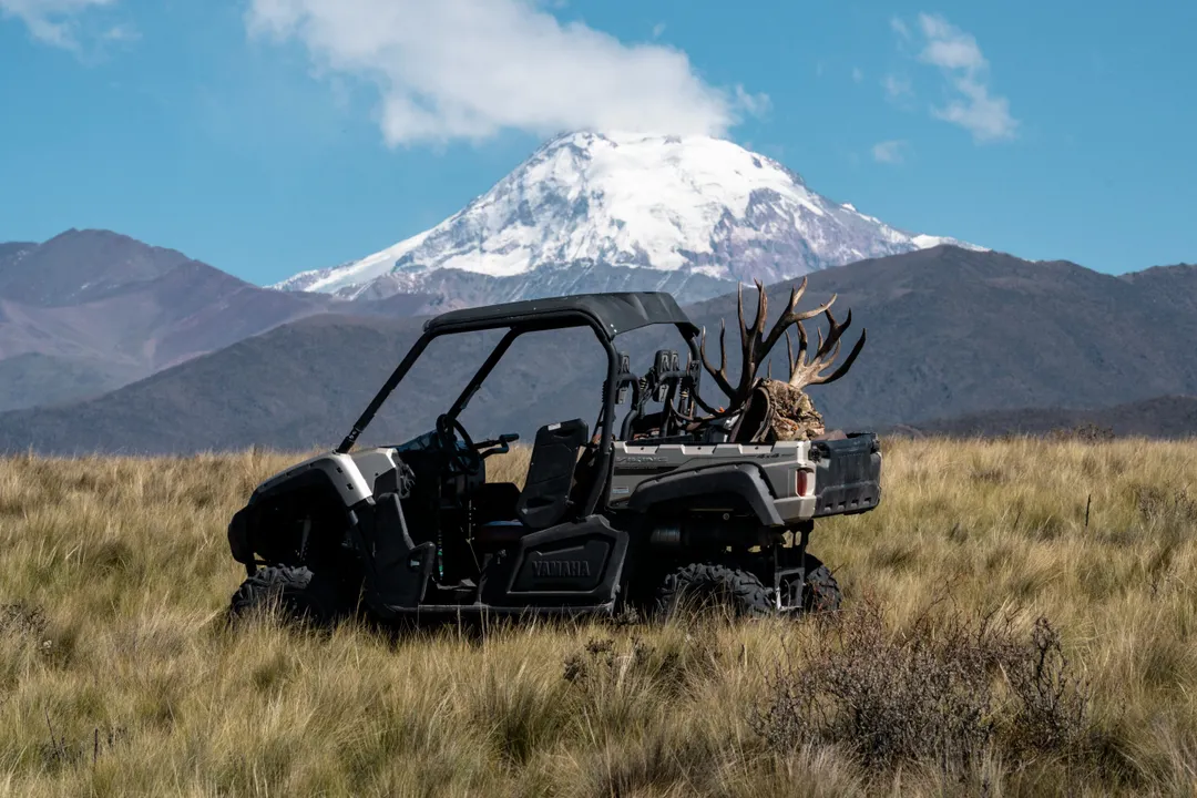 El Gobierno sostiene que la caza es una herramienta para controlar fauna exótica invasora, mientras organizaciones cuestionan la existencia de negocios asociados.