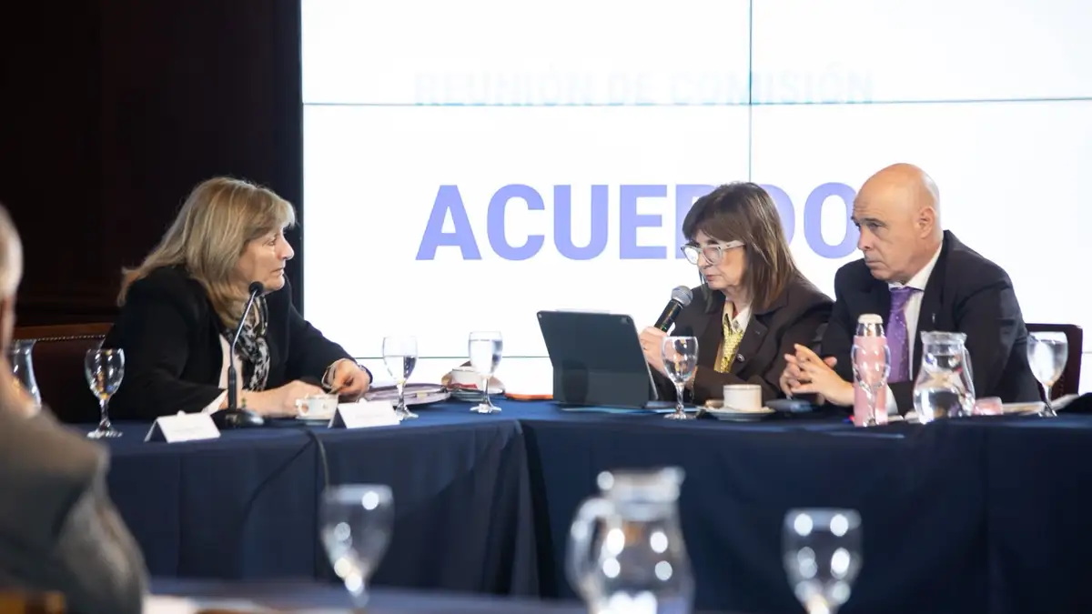 Patricia Bullrich volvió a desmarcarse de Javier Milei y no acompañará el pliego de una jueza en el Senado