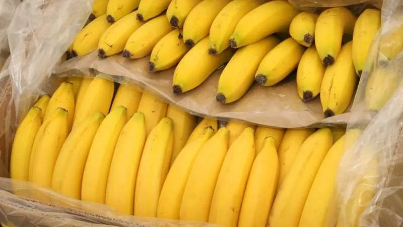 Banana, un delicioso alimento para combatir la resaca
