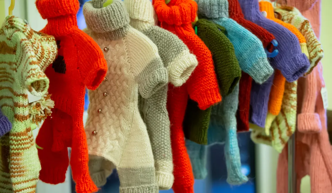 La oferta de ropa para mascotas es muy amplia. Los precios arrancan desde los 4.000 pesos en un local de Mendoza.