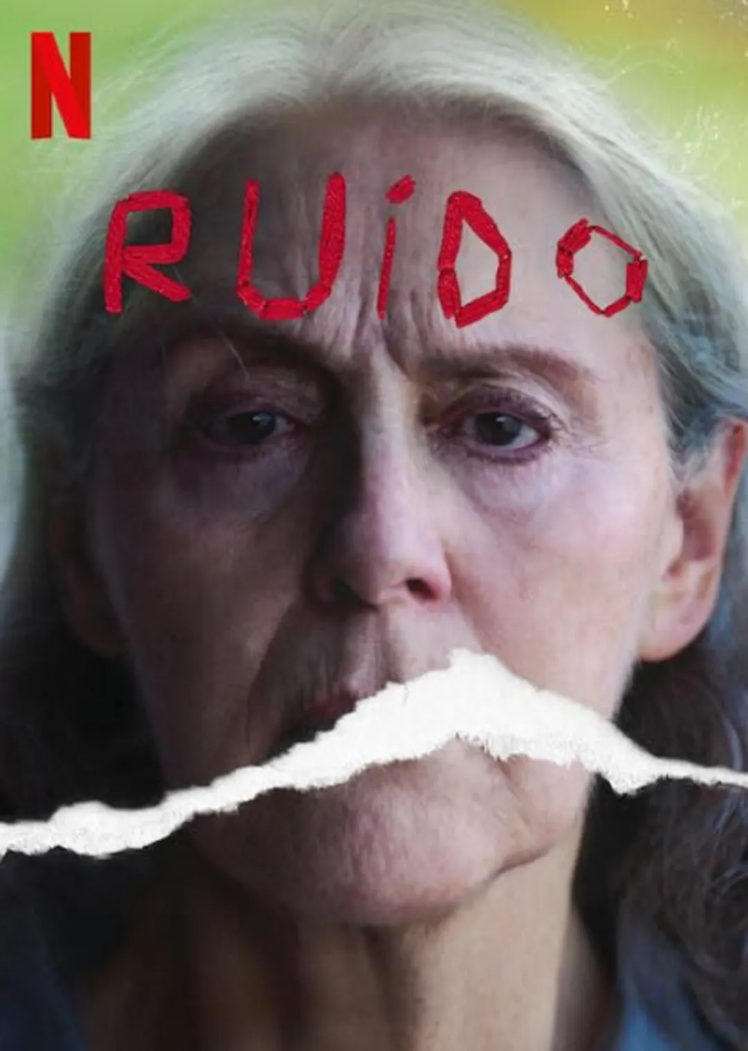 NETFLIX. Ruido
