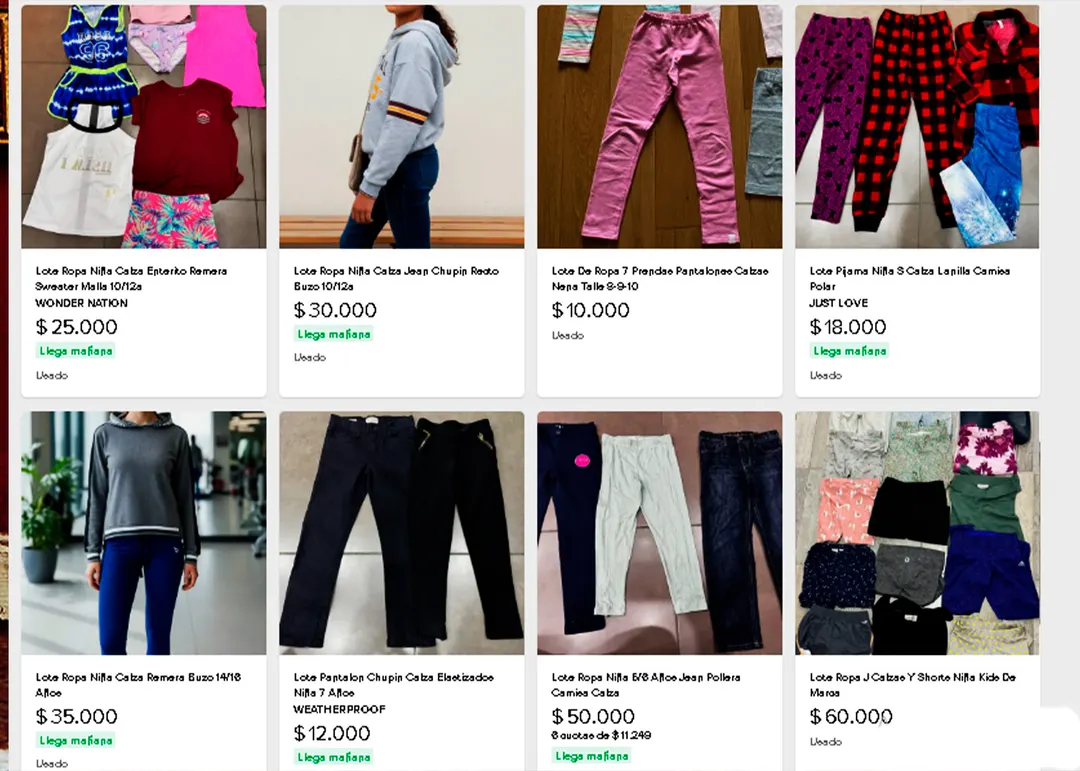 Ropa usada de Mendoza que se comercializa en Internet
