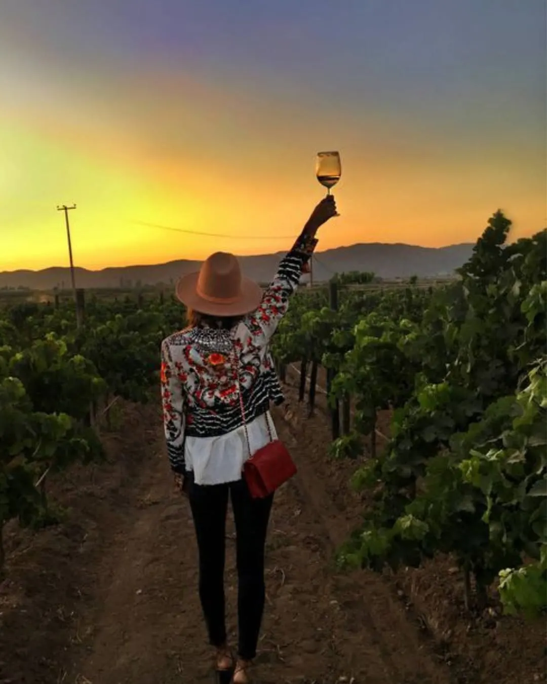 Foto: @carlettivineyards