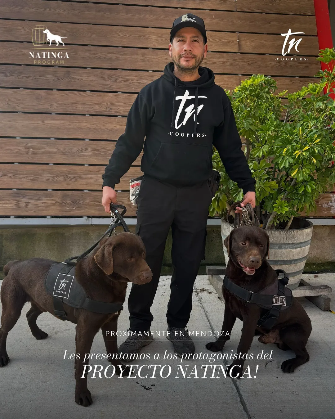El entrenador, Marco Briceño, junto a Bonny y Clein, los labradores que ayudan a mantener los vinos argentinos libres de defectos.