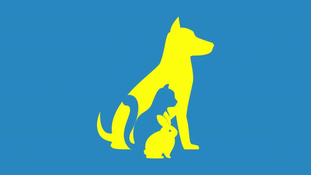 test de personalidad