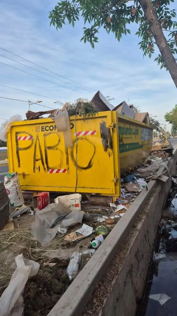 Pasé y miré: una lectora de MDZ compartió imágenes del contenedor ubicado en Lateral Sur de Paso y Terrada, Luján de Cuyo