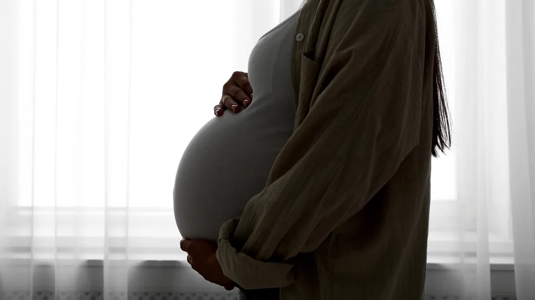 La maternidad dejó de ser un destino inevitable para convertirse en una elección.