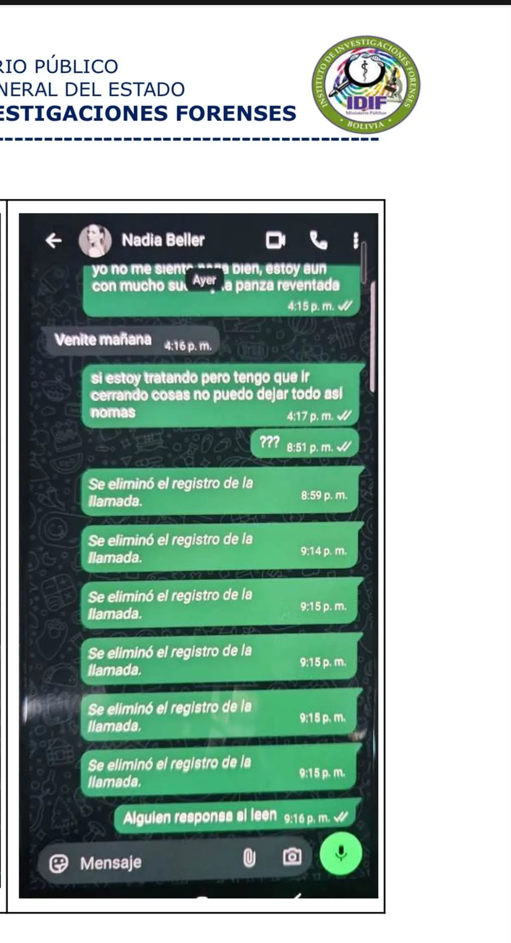Los chats publicados por Nadia Beller en su cuenta de Facebook aparentemente del celular de Fernando Cerimedo.