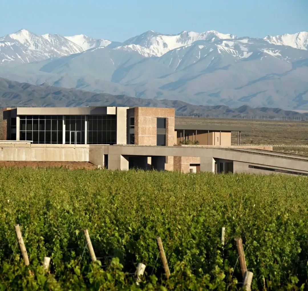 El imponente paisaje de bodega Diamandes, donde está ubicado Diam`s.