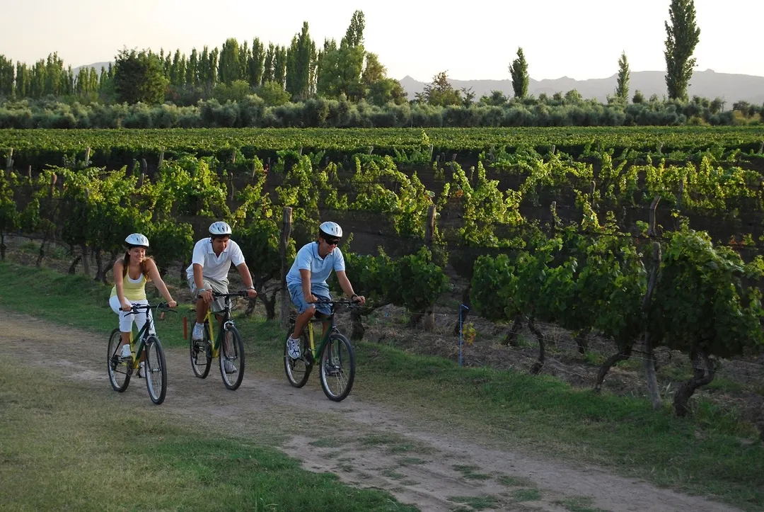 Turistas en Mendoza, disfrutando de un paseo por los viñedos. 