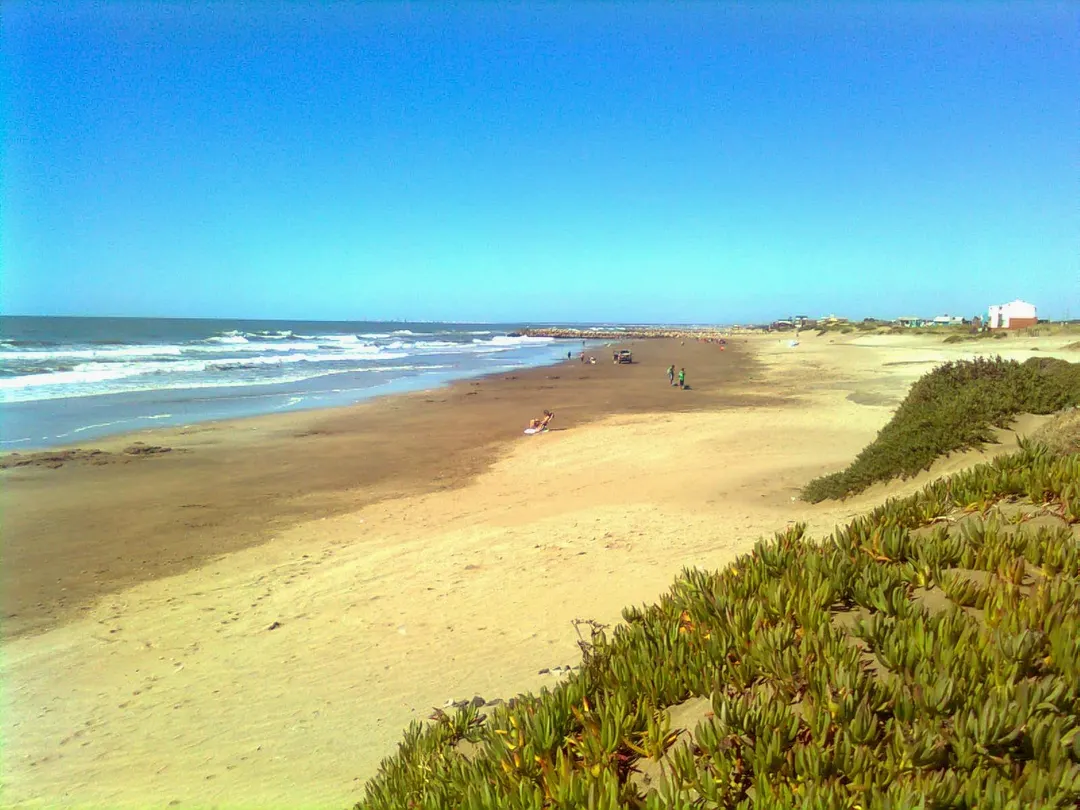 Mar de Cobo: el pueblo de Buenos Aires donde el bosque llega al mar