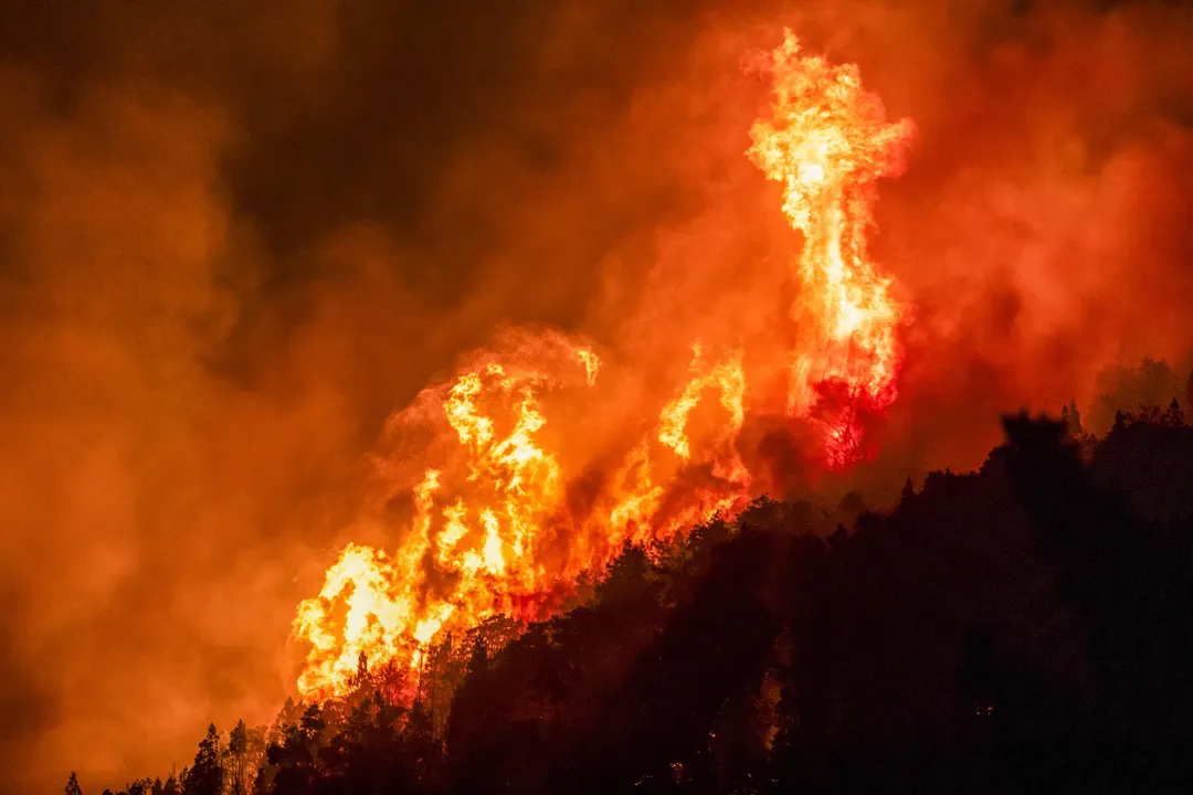 Los incendios en la Patagonia ya arrasaron con más de 4.000 hectáreas.