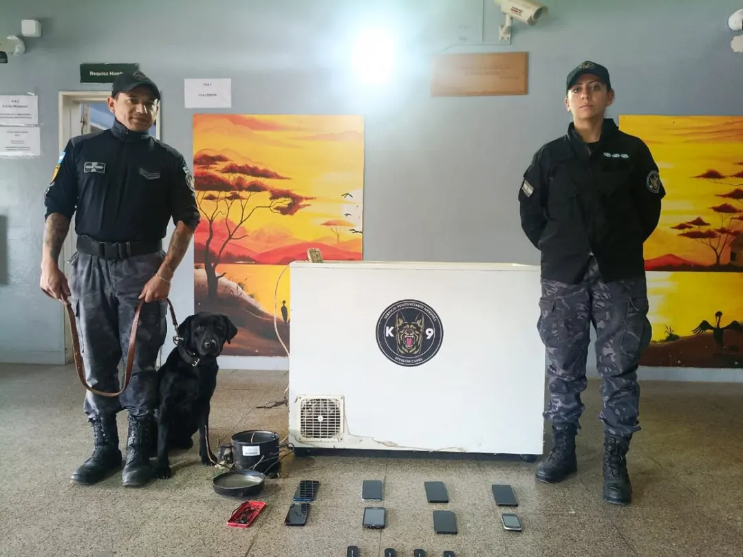 Los elementos secuestrados en el operativo.