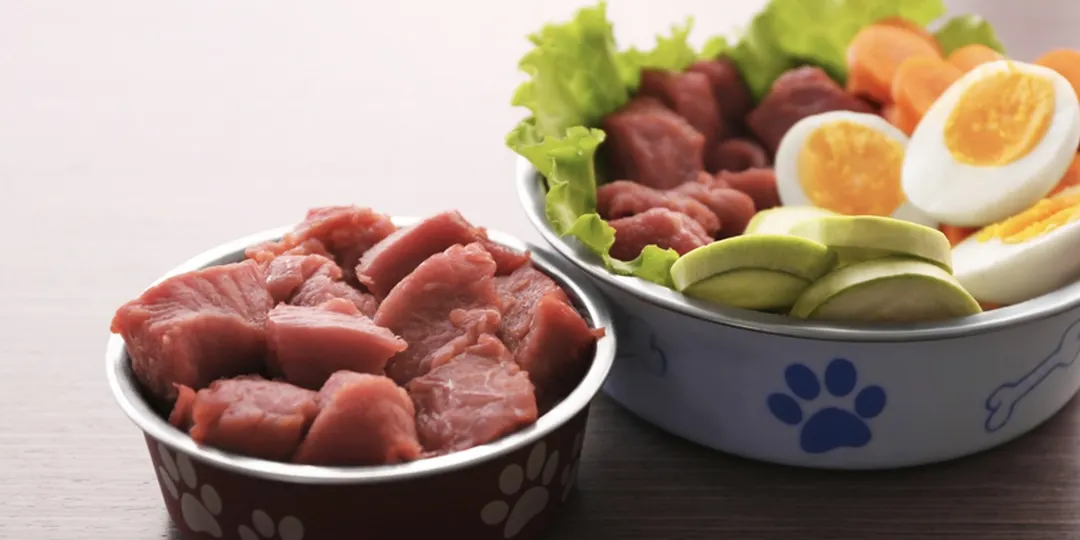 Carnes magras, arroz y verduras cocidas: los alimentos que sí podés usar en la dieta casera de tu perro o gato. Foto: Shutterstock