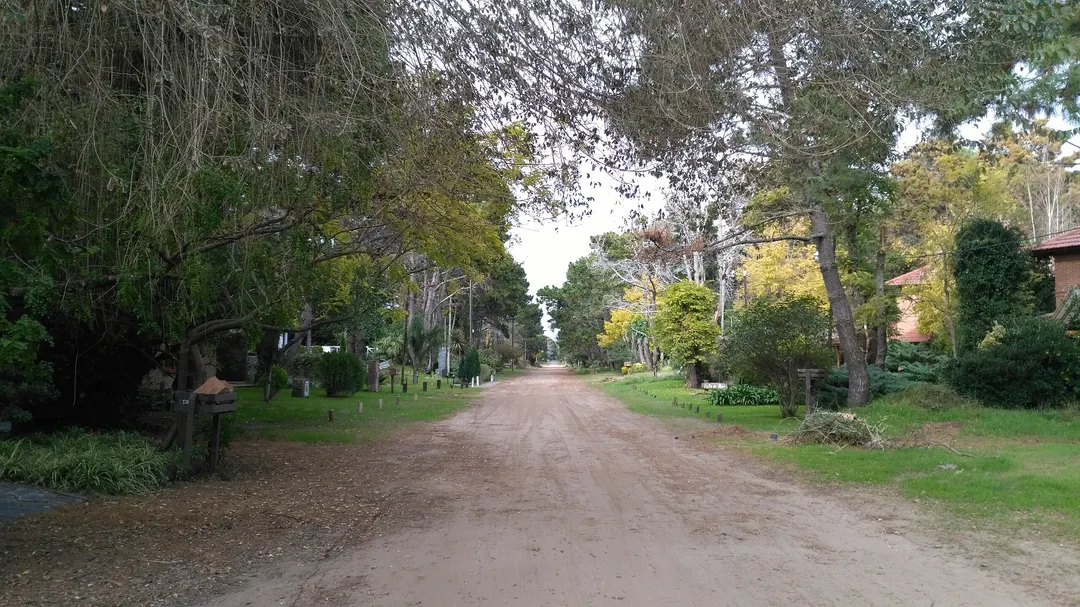 En este pueblo, los senderos entre médanos y bosque conducen directo al mar.
