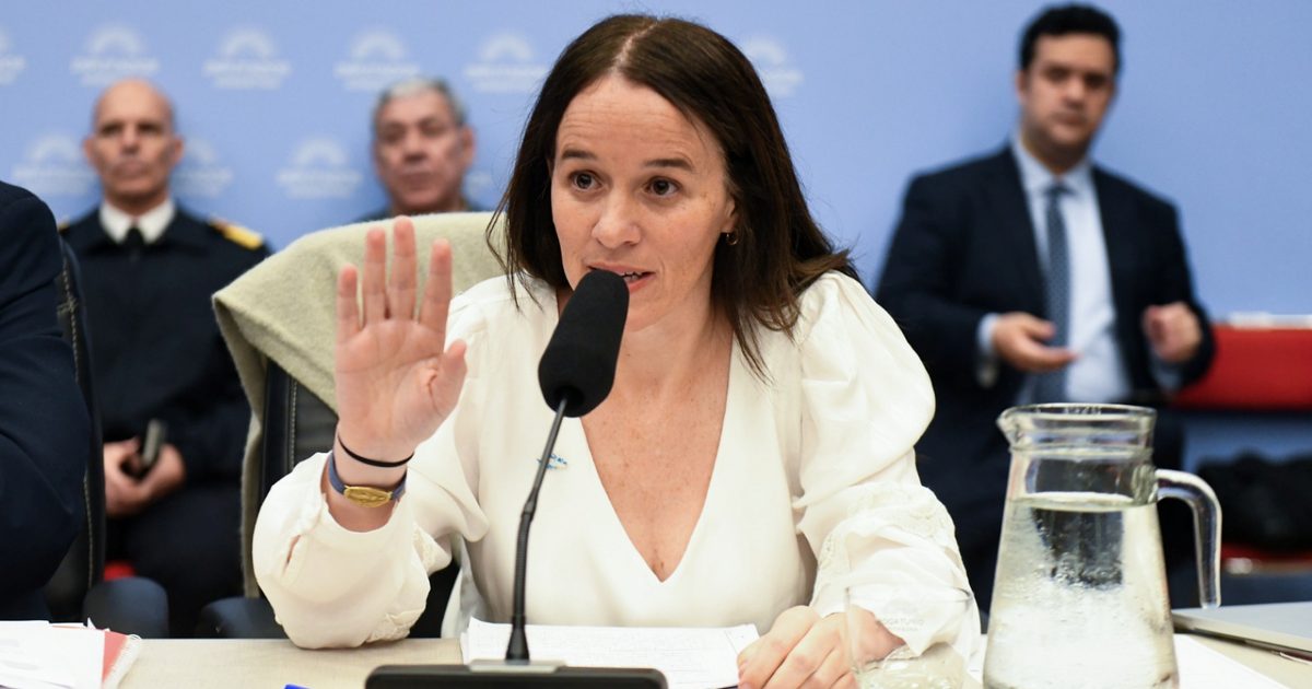 Ley de Malvinas: el Gobierno mandó a una funcionaria clave a defenderla ante las críticas opositoras