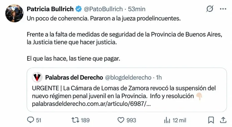 Patricia Bullrich X