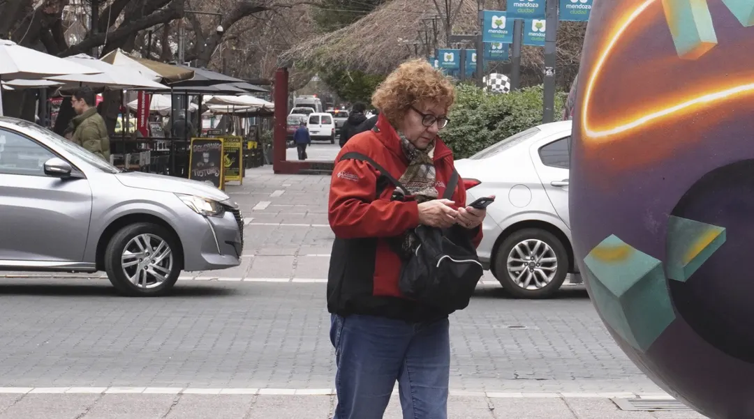 Para chequear el recibo de haberes, puede ingresarse a Mi Anses con Clave de la Seguridad Social.