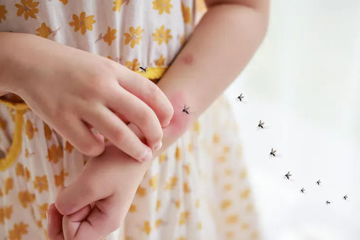 Cada 26 de agosto se conmemora el Día Internacional contra el Dengue.