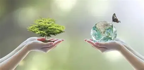 Desde los años 80 y 90, las nuevas generaciones han ido encontrando alternativas para reducir la contaminación ambiental.