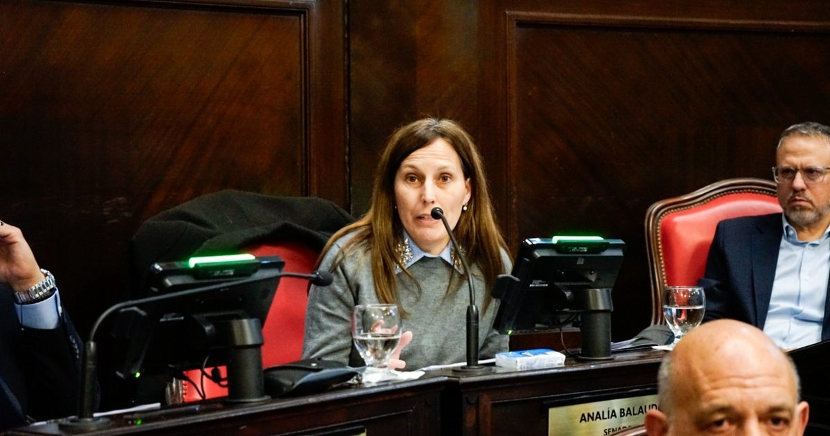 Escándalo en el Senado bonaerense: LLA denuncia agresiones del kirchnerismo en las comisiones parlamentarias