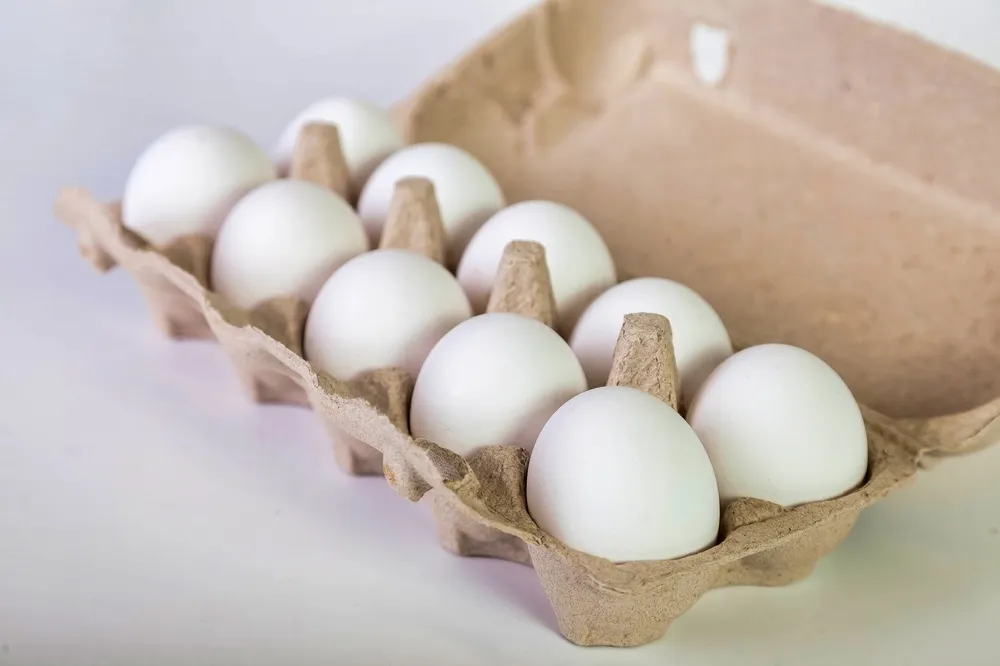 Cómo conservar huevos en casa