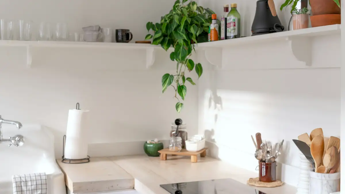Qué plantas se recomiendan para la cocina según el Feng Shui
