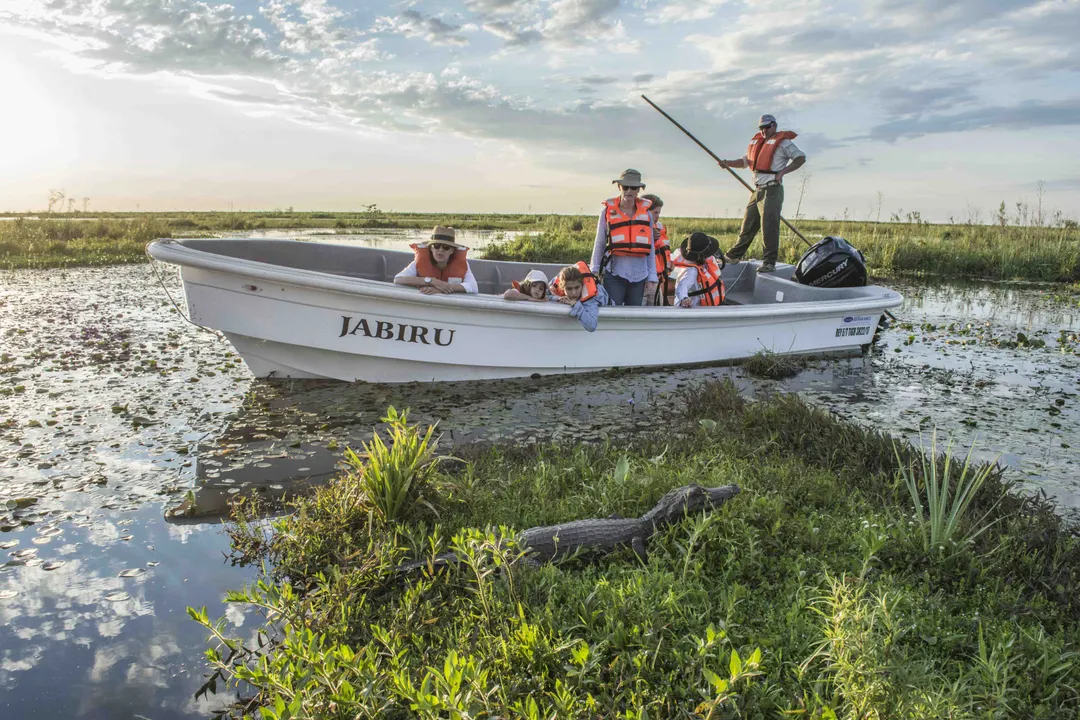 Desde el pueblo parten navegaciones para observar carpinchos, yacarés y ciervos de los pantanos en la Laguna Iberá.
