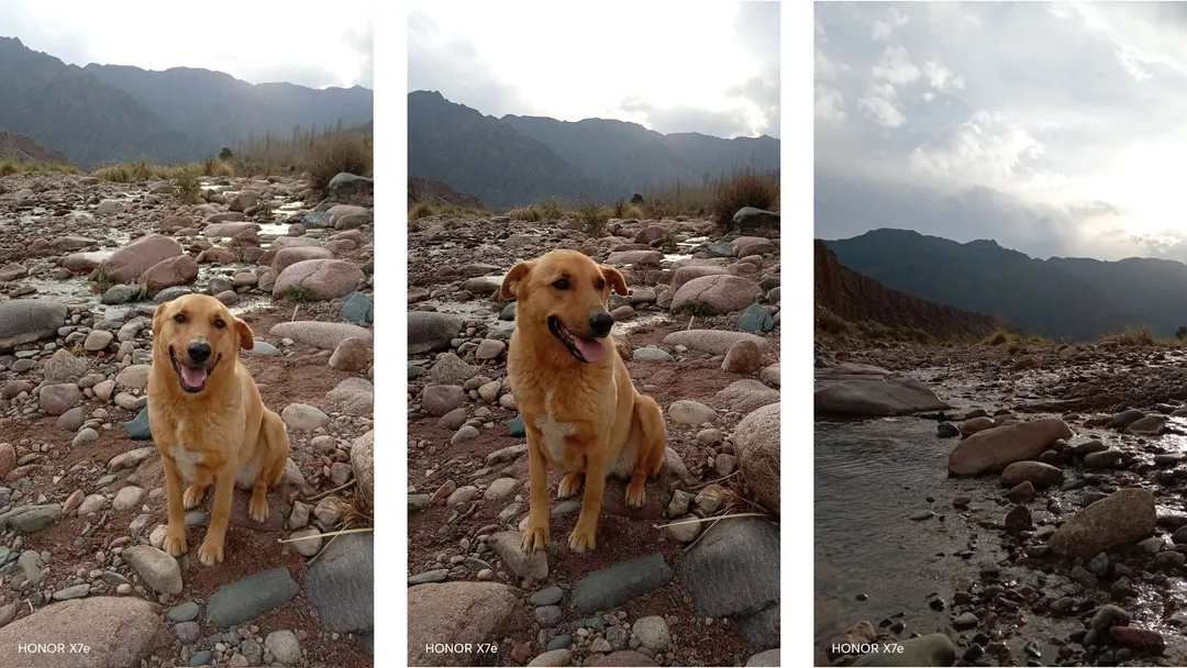 Fotografías tomadas con el Honor X7e en condiciones de baja iluminación, sin HDR.