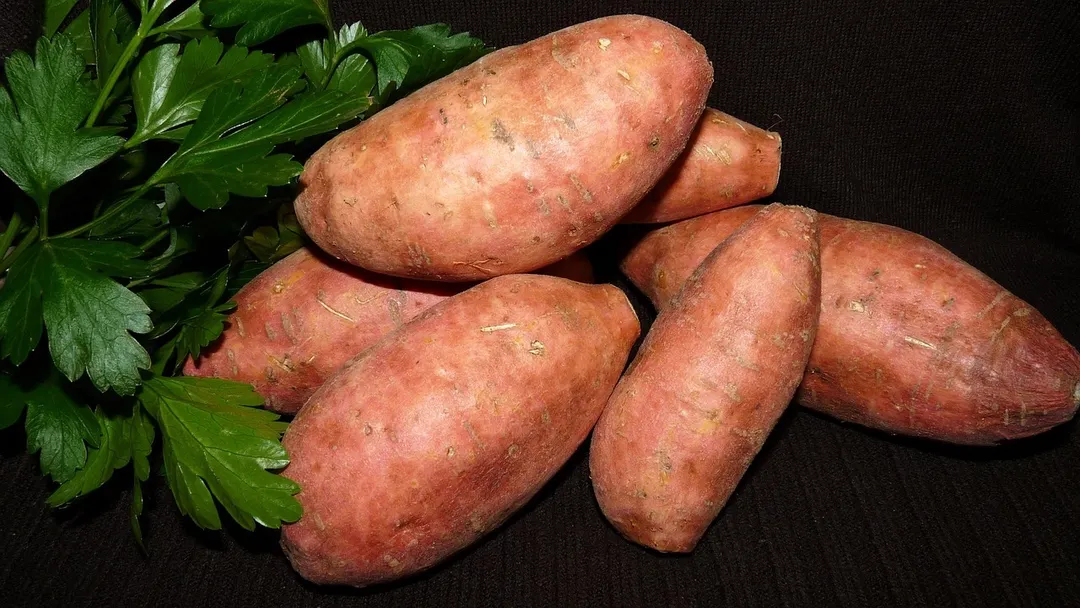 Un alimento saludable Foto: Pixabay