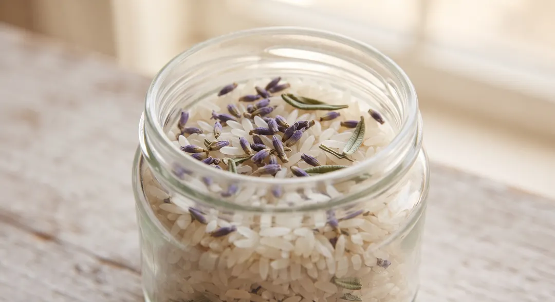 Mejorá el aroma de tus ambientes con ingredientes de casa. Foto: imagen generada con IA