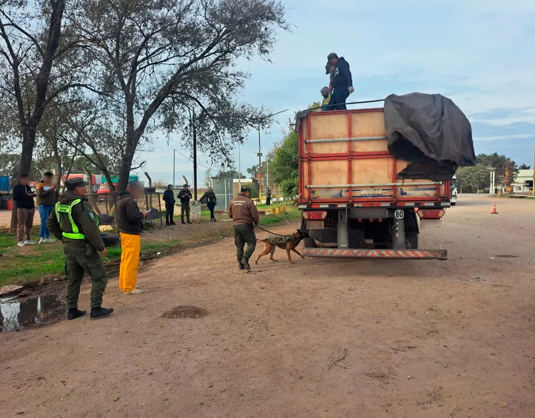 Las tareas de la Gendarmería Nacional en el operativo antidrogas desplegado en Córdoba. 