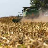 Entre la sequía y la amenaza de El Niño: estiman otra cosecha récord