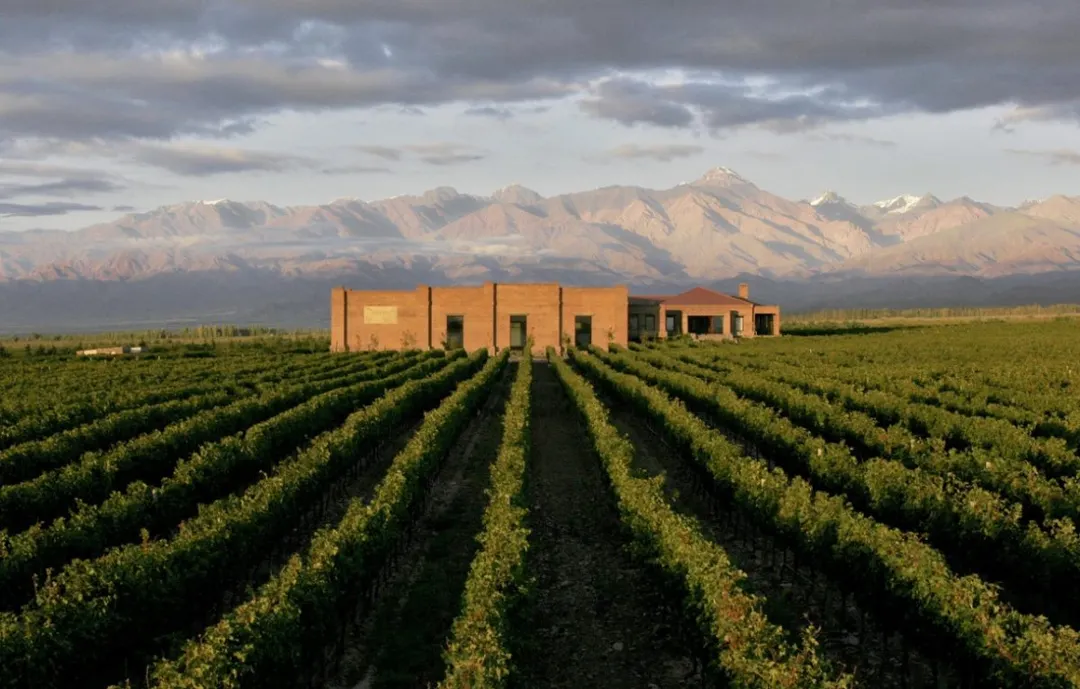 El evento reunirá a 25 compradores internacionales y 50 bodegas argentinas.