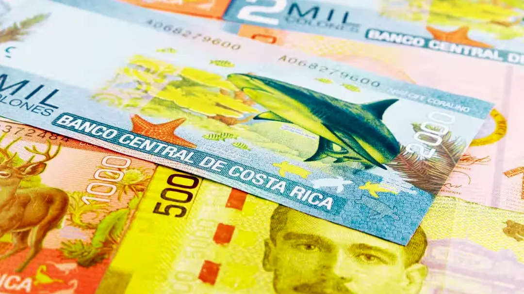 Los billetes de Costa Rica son famosos en el mundo por sus coloridos diseños inspirados en la biodiversidad y los ecosistemas tropicales del país