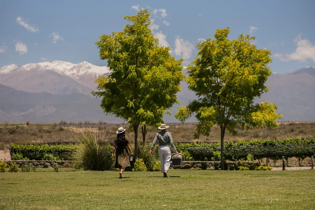  La Isabel Estate, ubicada a 1.400 msnm en Gualtallary, Valle de Uco.