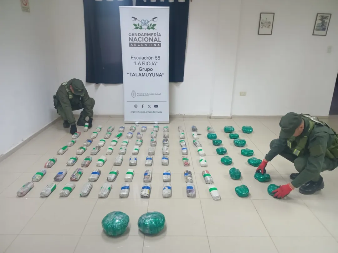 En total se secuestraron 35 kilos y 500 gramos de hojas de coca en estado natural. Foto: Gendarmería Nacional.