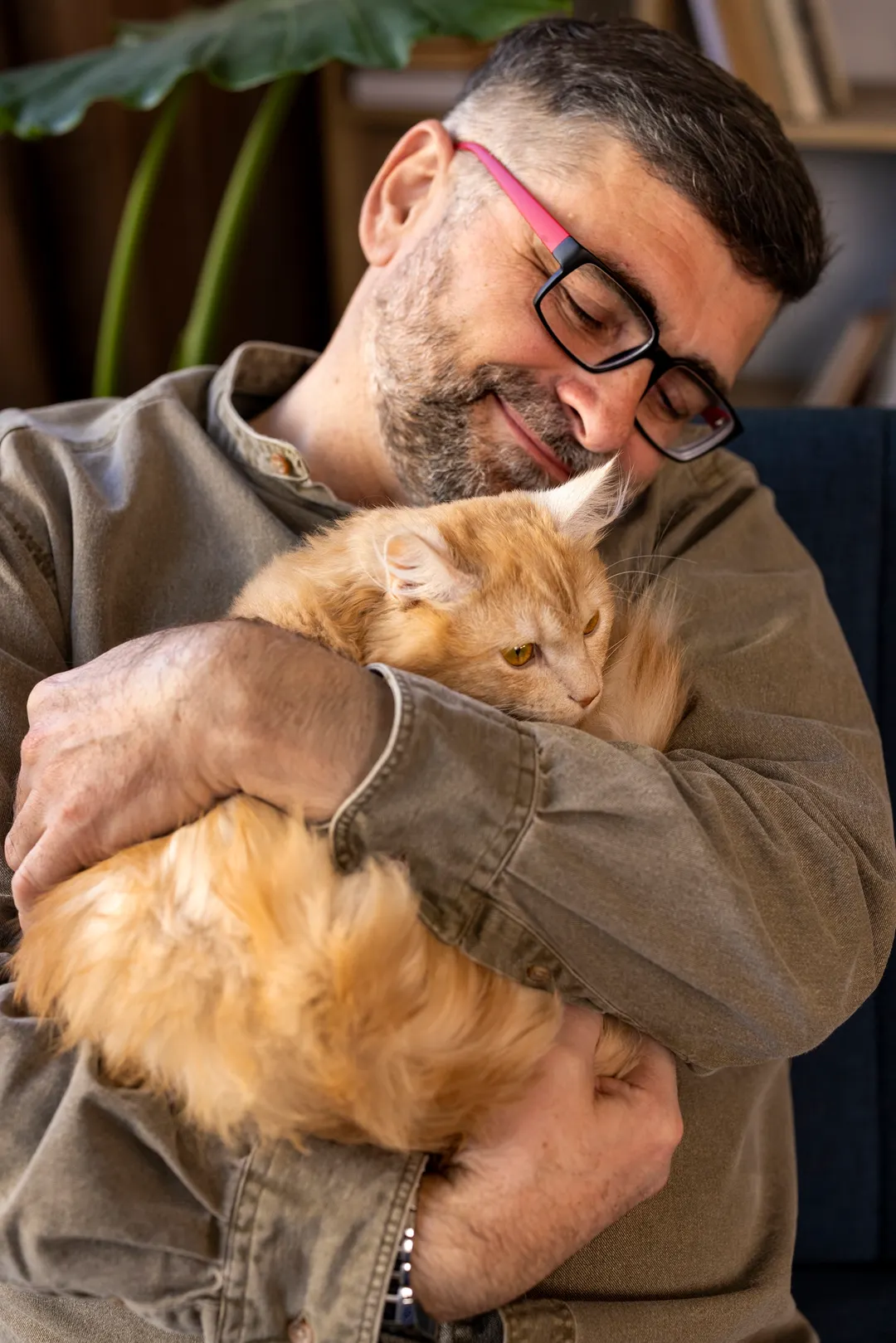 A los gatos les encanta recibir cariño, aunque parezca lo contrario.