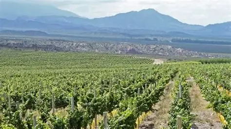 Regenerar la tierra no solamente es una consigna ambiental, es una estrategia de productividad.