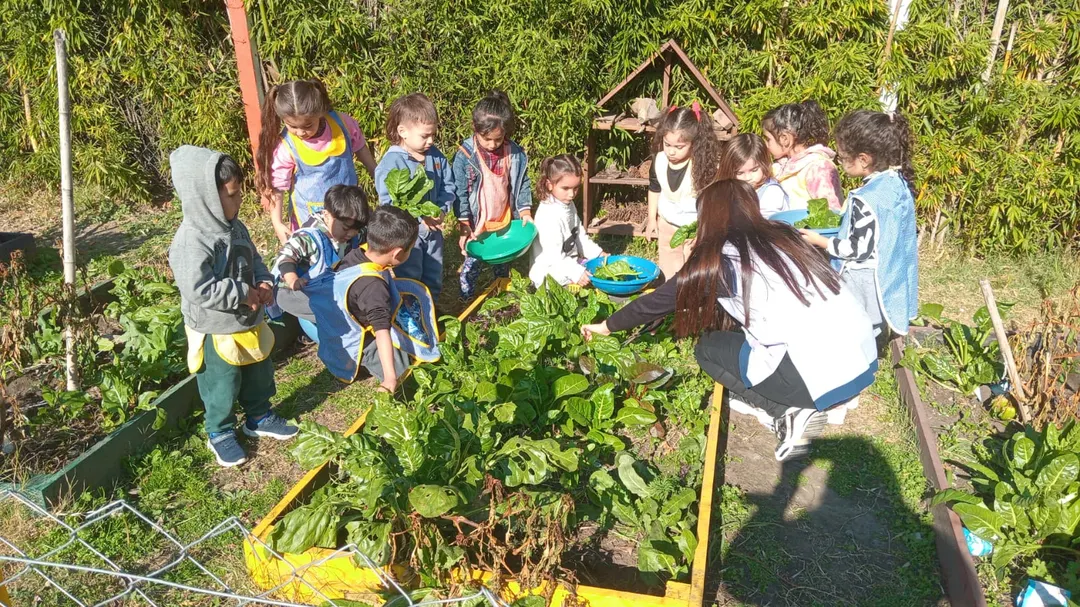 Trabajamos junto a escuelas a lo largo del país