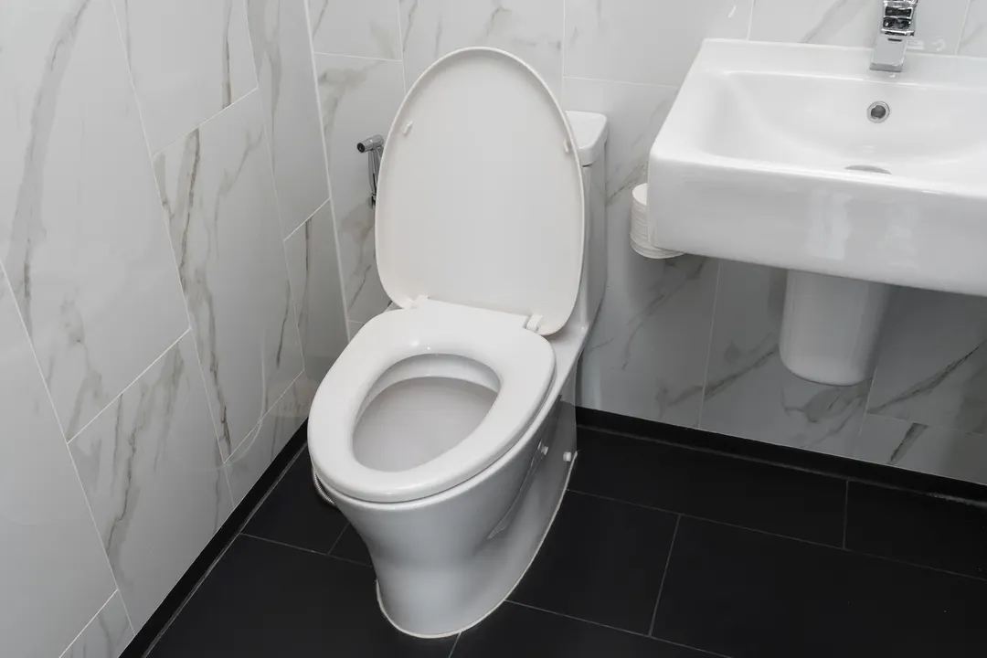 El inodoro quedará impecable. Fuente. Shutterstock.