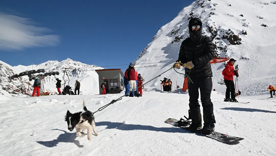 Ni las mascotas quisieron perderse el Día del Mendocino en Penitentes.