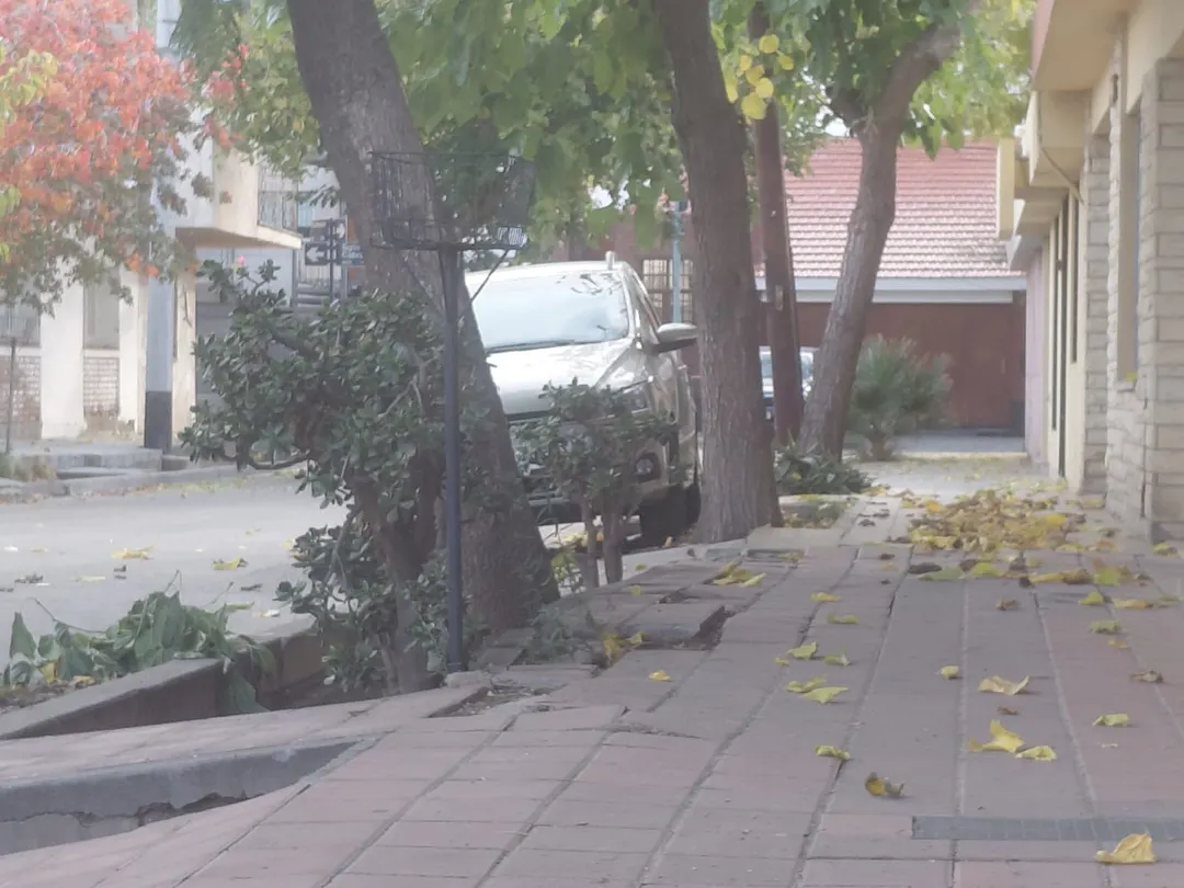 Mendoza, con el Zonda, sabe de vientos fuertes.
