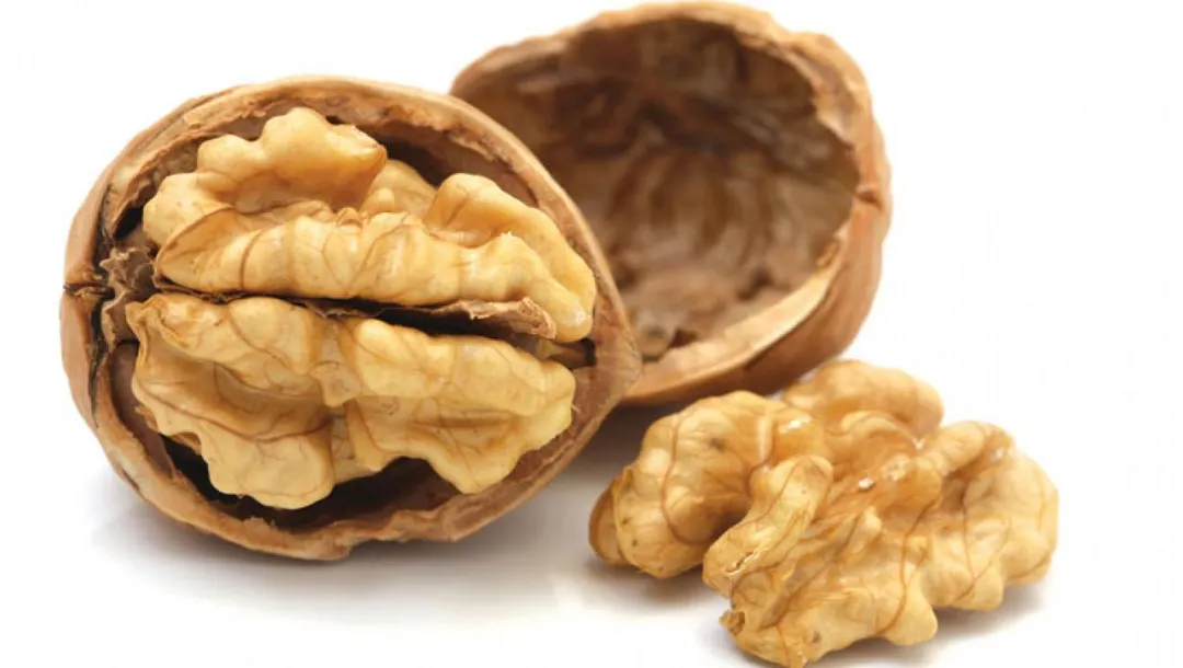 Nueces, aliadas para el organismo.