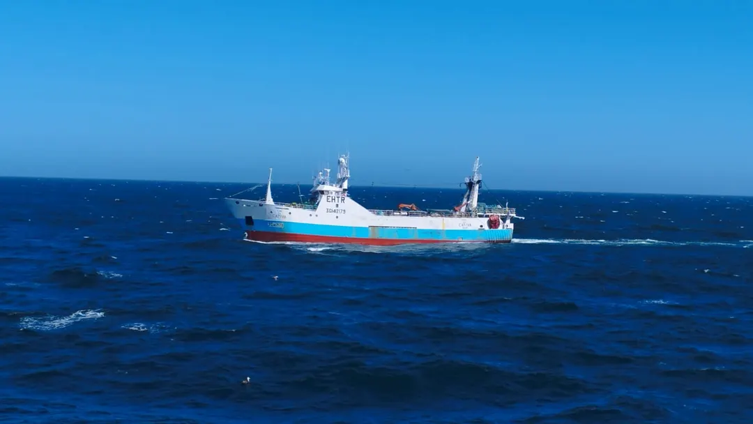 La pesca tuvo una suba más fuerte a nivel exportaciones que el agro