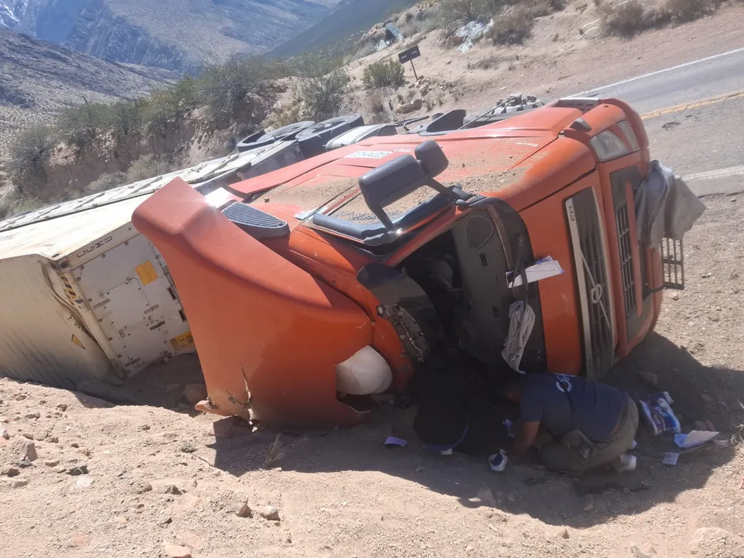 El camión volcó sobre la banquina de la ruta.